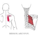 한성스포츠센터 이미지