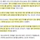 중국에 아프리카돼지열병이 더 확산된 이유 이미지