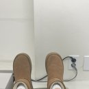 [교정일기 24개월 차] 잃어버린 11개월,, 그리고 스크류,, *내돈내산