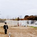 제주애견카페 초록동산 이미지