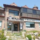 천안 복어 유량동 맛집 '솔미' 솔직후기