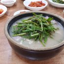 인생돼지 이미지