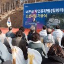 힐링타운 이미지