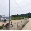 강청리농장 네이버블로그