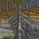 용의꼬리 이미지