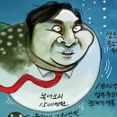 어룡 이미지