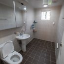 양양에 살다 이미지