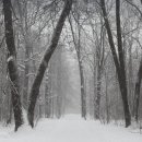 함양토종약초시장 | 함양 겨울여행, 산삼 엑스포공원 즐기기 가이드