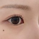 클레르바이주 네이버블로그
