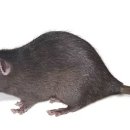 공간모텔 이미지