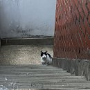 7.29 ~ 8.12 (제주 이후 뇌 빠진 백수의 나날들)