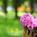 리젠트공인중개사사무소 이미지