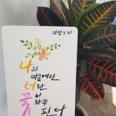 아틀리에빈영남대점 | [효몬캘리] 펜캘리그라피 2019년 6월 4주차 클래스 『같이놀자』 <경산 조영동(영대) 수강생 모집합니다!>
