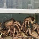 어사랑민물매운탕 이미지