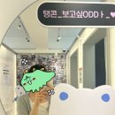 플랜비스튜디오송리단길점 이미지