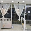 그루밍 애견미용 이미지