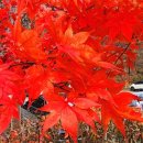 도덕산캠핑장 이미지