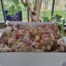 하미토미풀밭 이미지