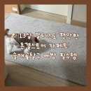옐로카펫 | 슬개골탈구 예방을 위한 온결스토어 카페트! 먼지없는 거실 러그 솔직 후기