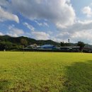 세천초등학교 이미지