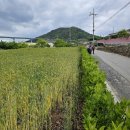 묘읍마을회관 이미지