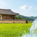 삼우지하수개발