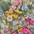 수풀(SOOPUL) | 서울 강서구 마곡동 마곡나루역 꽃집 수풀 SOOPUL 후기, 엄마 꽃다발 선물 추천, 여자친구 꽃다발 선물...