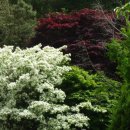 우치공원 이미지