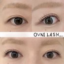 디자인 스튜디오 203 대전 | 마스카라 끊었어요! 신논현속눈썹 오브니래쉬스튜디오 Led마스카라연장 후기