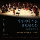 제20회 정기연주회 이미지