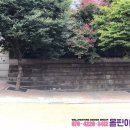 서울문성초등학교 이미지