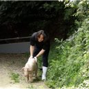 송학농장 이미지