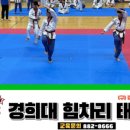 힘차리 태권도장 네이버블로그