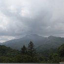 인구해수욕장 Daum카페
