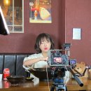 베스트 애견 이미지