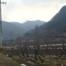 충주댐가든 이미지