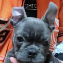 코오롱동신아파트 이미지