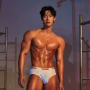 진인터내셔널 Daum카페