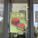 피플레이스 | 투썸 두초생 내돈내산 후기 :: 경성대 투썸플레이스 오픈런, 가격, 맛