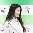 미니포차 Daum카페