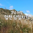 춤추는각시탈 | 11월 여행지추천, 가을 감성 가득한 합천 당일치기여행 힐링코스 5