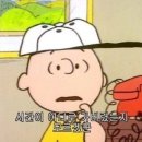 자쿠미 | 26.05 둘째주
