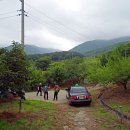 상지목장 네이버블로그