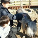 말박물관 이미지