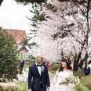 허브캐슬 이미지