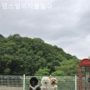 멍스빌리지풀빌라1 네이버블로그