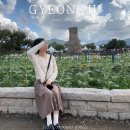 혼자 경주 여행 코스 첨성대 가을꽃구경 월정교 맛집까지