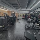 이젠피티 이미지