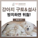 24시연동물의료센터 이미지
