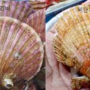 마니호칼국수 이미지